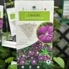 Clematis 'Etoile Violette' Climber 3Ltr Pot -Green Garden Shop 30198710
