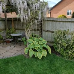 Green Garden Shop -Green Garden Shop 5010453008350 2