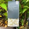 Hydrangea Paniculata 'Little Blossom' 5Ltr Pot -Green Garden Shop 5019945247536