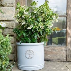 Woodlodge 38cm White / Cream Glazed Heritage Cylinder Pot 8 Woodlodge 38cm White / Cream Glazed Heritage Cylinder Pot -Green Garden Shop 5021346424430