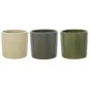 Woodlodge 25cm Conical Glazed Pot (Choice Of 3) -Green Garden Shop 5021346471007