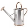 Smart Garden 9 Litre Galvanised Steel Watering Can -Green Garden Shop 5050642047234 2302db94 df29 471a b2b0 3be02c85f72a