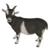 Vivid Arts 29cm Standing Goat- XRL-GOAT-D 2 Vivid Arts 29cm Standing Goat- XRL-GOAT-D -Green Garden Shop 5055195017475