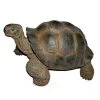 Vivid Arts 27cm Giant Tortoise -XRL-GTRT-D -Green Garden Shop 5055195018816