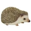 Vivid Arts 13cm Pet Pals Pygmy Hedgehog - PP-PHED-F -Green Garden Shop 5055195019943