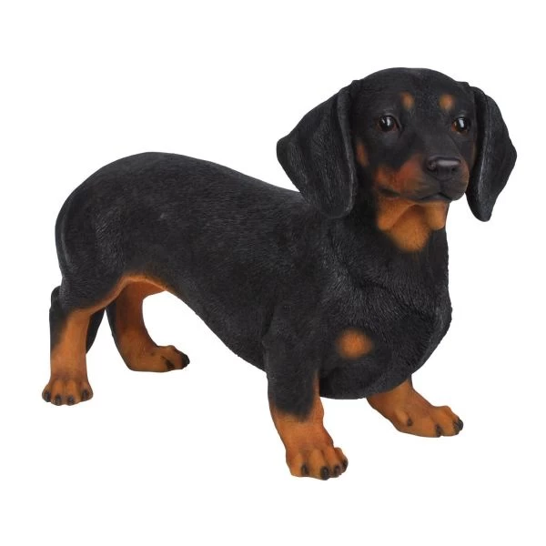 Vivid Arts 50cm Dachshund - XRL-DACH-A 3 Vivid Arts 50cm Dachshund - XRL-DACH-A