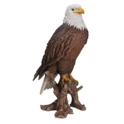 Vivid Arts 68cm American Bald Eagle - XRL-BLDE-A