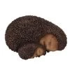 Vivid Arts 22cm Mother & Baby Hedgehog - XRL-HH07-B 2 Vivid Arts 22cm Mother & Baby Hedgehog - XRL-HH07-B -Green Garden Shop 5055195023643