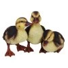 Vivid Arts 23cm Standing Duckling Group - NF-DK26-D -Green Garden Shop 5055195023674