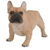 Vivid Arts 50cm Gold French Bulldog - XRL-FRBD-A -Green Garden Shop 5055195025616