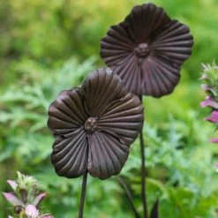 Wilstone 127cm Iron Poppy Flower Garden 9 Wilstone 127cm Iron Poppy Flower Garden -Green Garden Shop 5060345971767 4