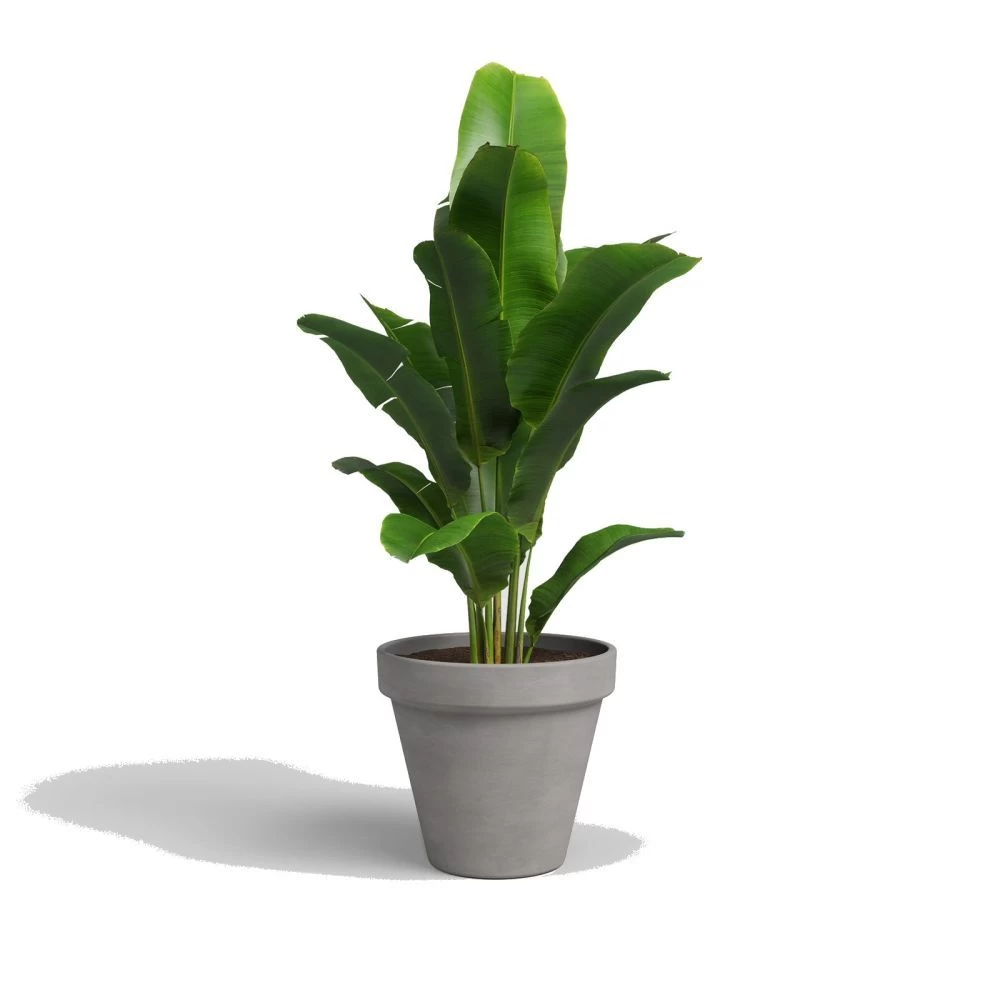 Artevasi 29cm Vulcano Ceramic Amalia Pot 4 Artevasi 29cm Vulcano Ceramic Amalia Pot - Image 2