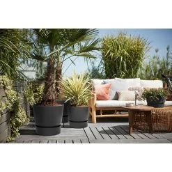 Elho 25cm Living Black Greenville Round Planter 10 Elho 25cm Living Black Greenville Round Planter -Green Garden Shop 8711904332334 4