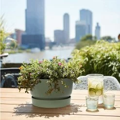 Elho 33cm Leaf Green Greenville Bowl Planter 10 Elho 33cm Leaf Green Greenville Bowl Planter -Green Garden Shop 8711904332464 4