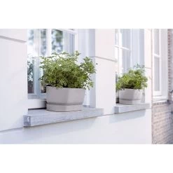 Elho 50cm Living Concrete Greenvillle Long Trough Planter 10 Elho 50cm Living Concrete Greenvillle Long Trough Planter -Green Garden Shop 8711904358440 4